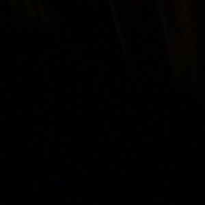 Meet your Posher, Alondra